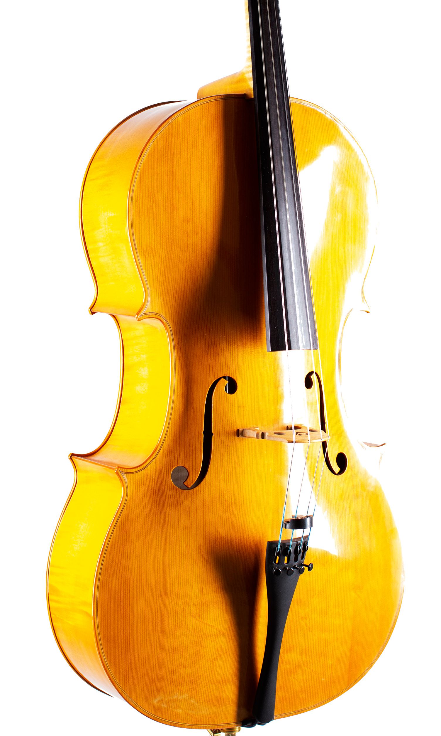A cello by John Standen, Inverness, 2009 — angled view, 20°