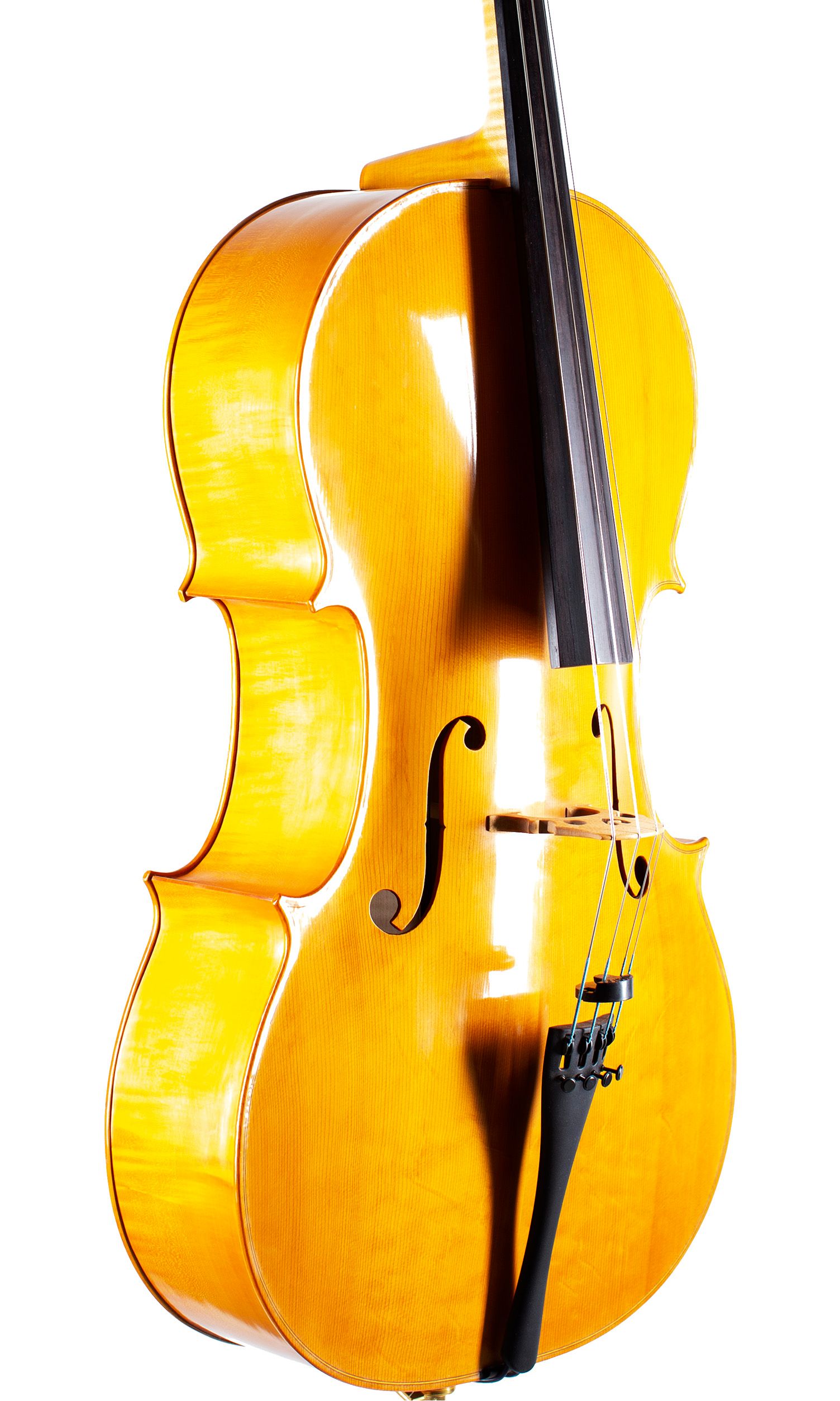 A cello by John Standen, Inverness, 2009 — angled view, 30°
