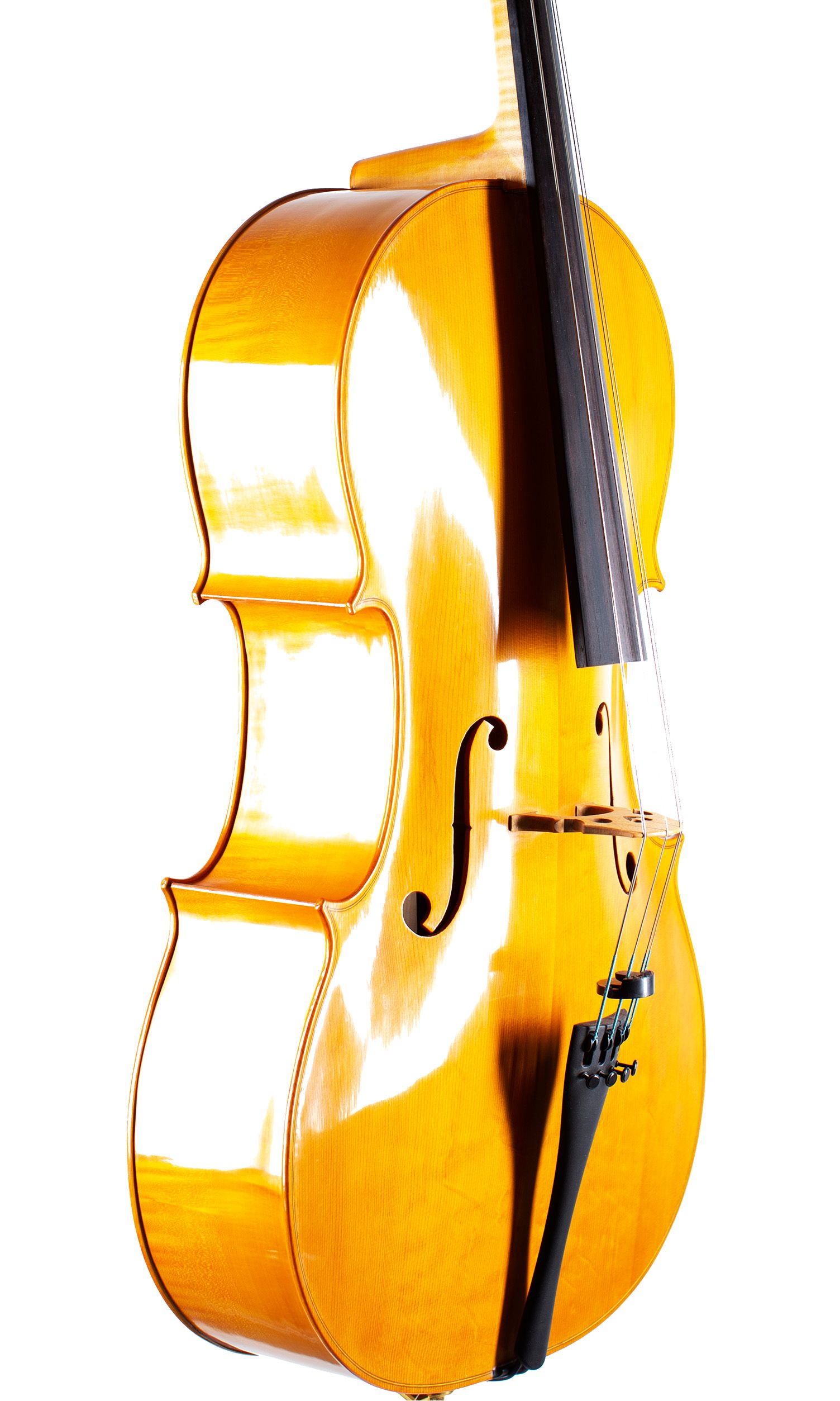A cello by John Standen, Inverness, 2009 — angled view, 40°