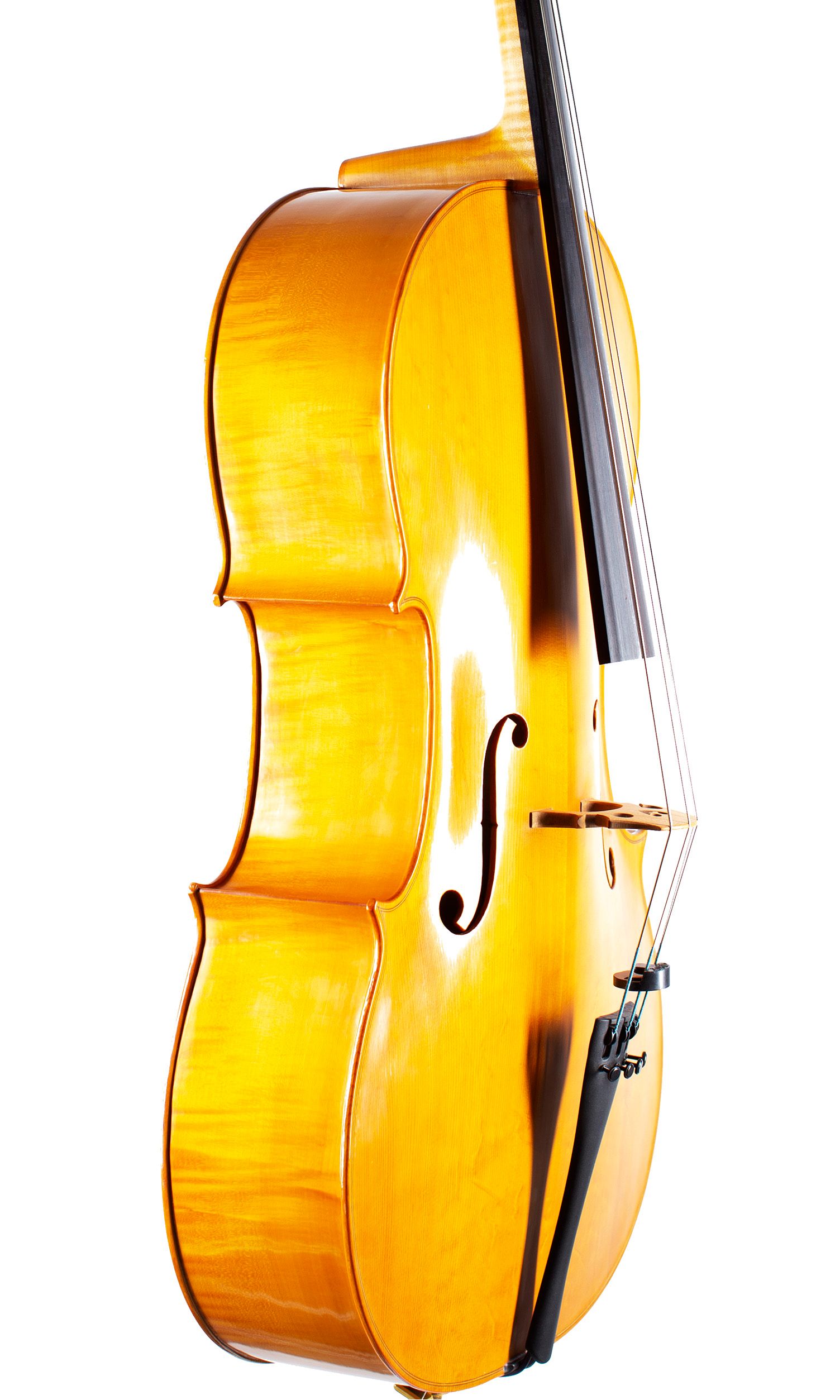 A cello by John Standen, Inverness, 2009 — angled view, 50°