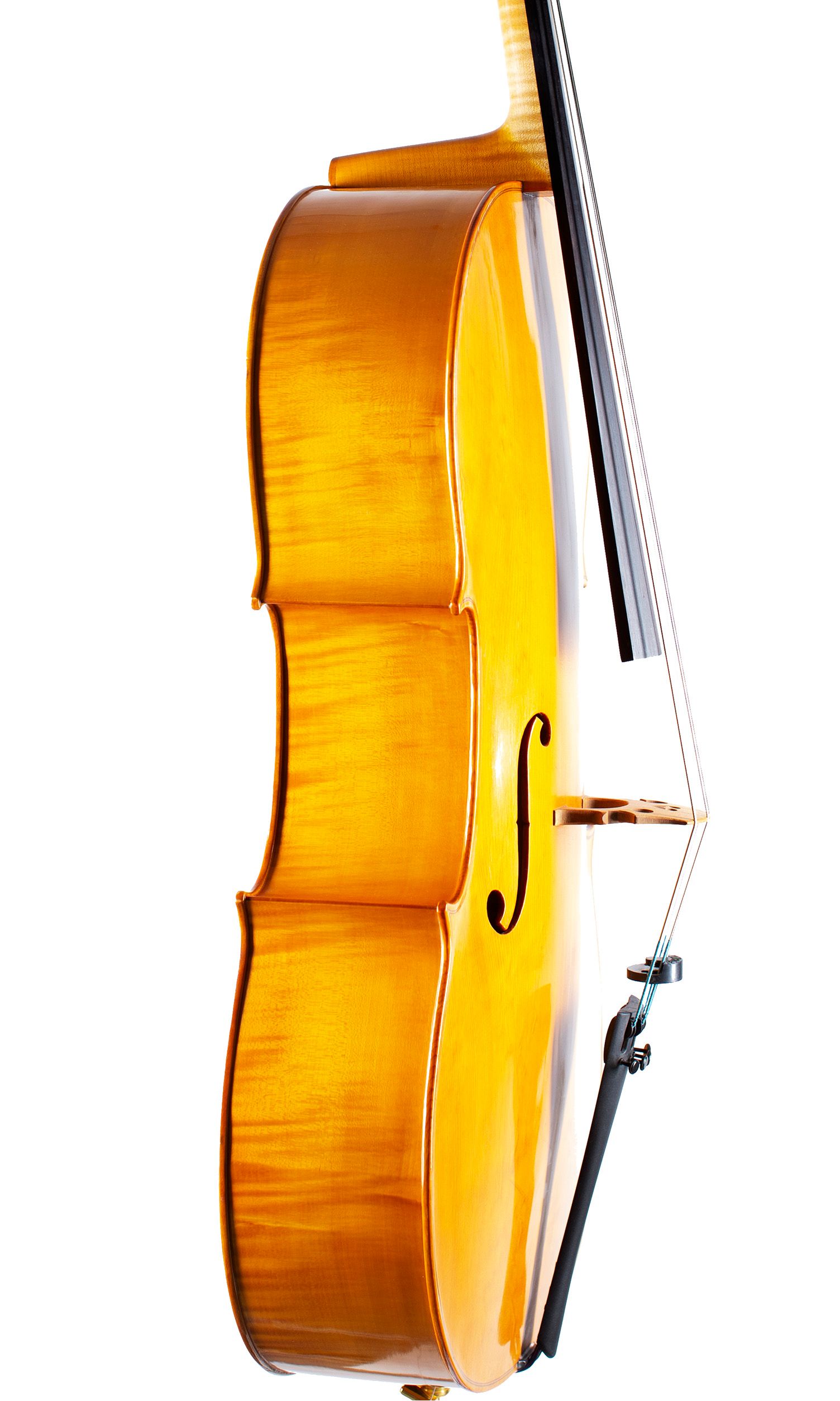 A cello by John Standen, Inverness, 2009 — angled view, 60°