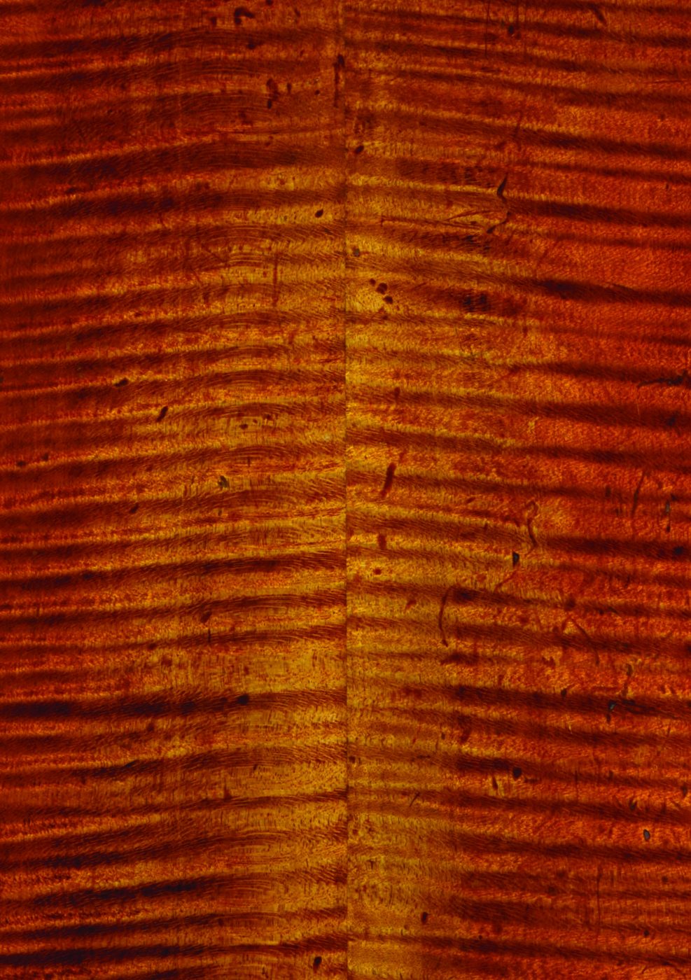 Close-up of the back varnish of the ‘Archinto’ Stradivari cello