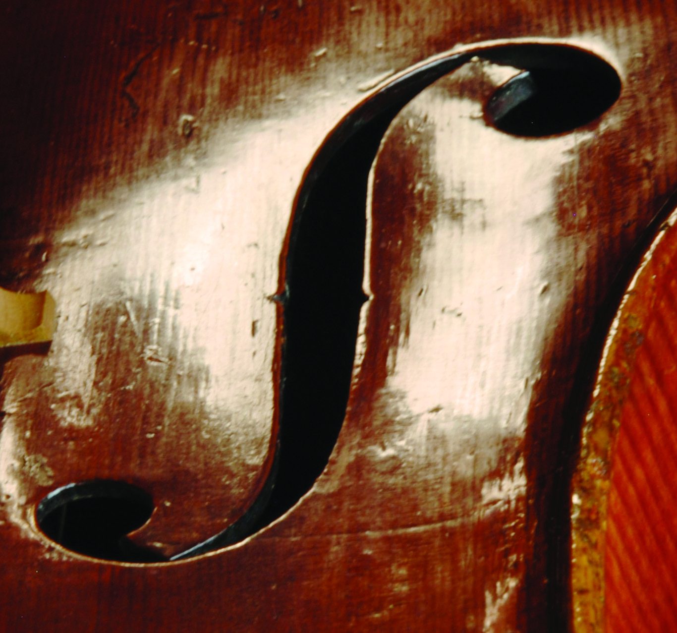 Flare view of the bass f-hole of the ‘Archinto’ Stradivari cello