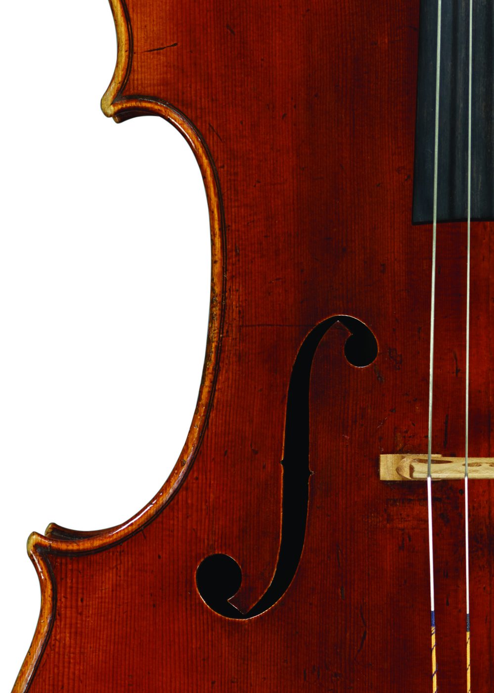 Bass f-hole of the ‘Archinto’ Stradivari cello