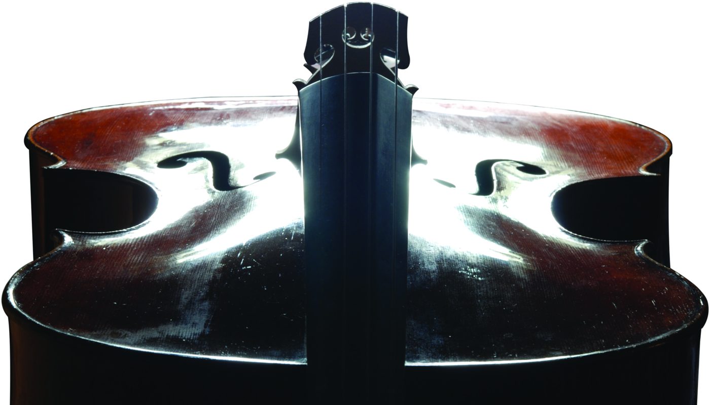 End view of the ribs, lower