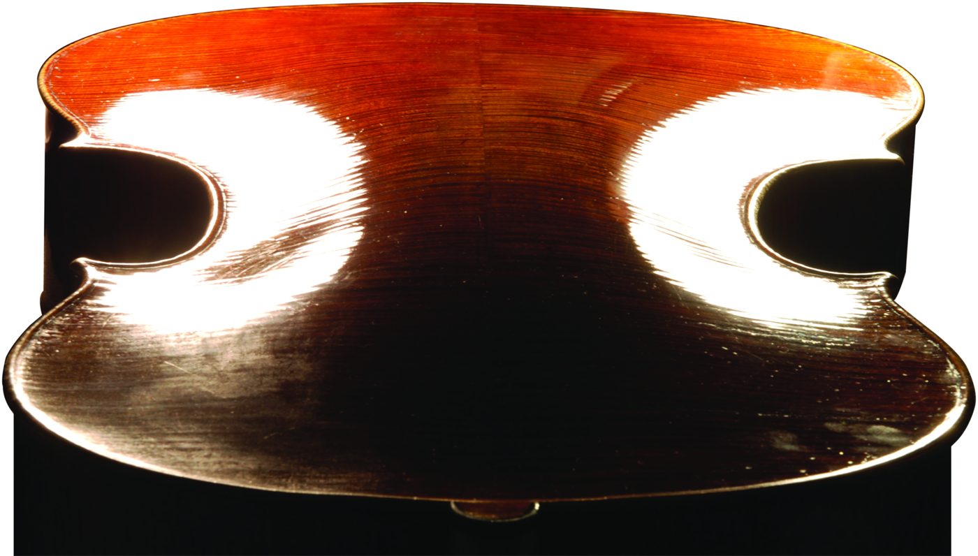 End view of the ribs, upper