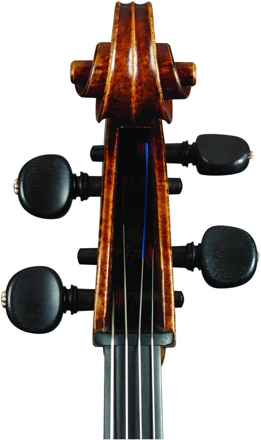 Front of the pegbox of the ‘Archinto’ Stradivari cello