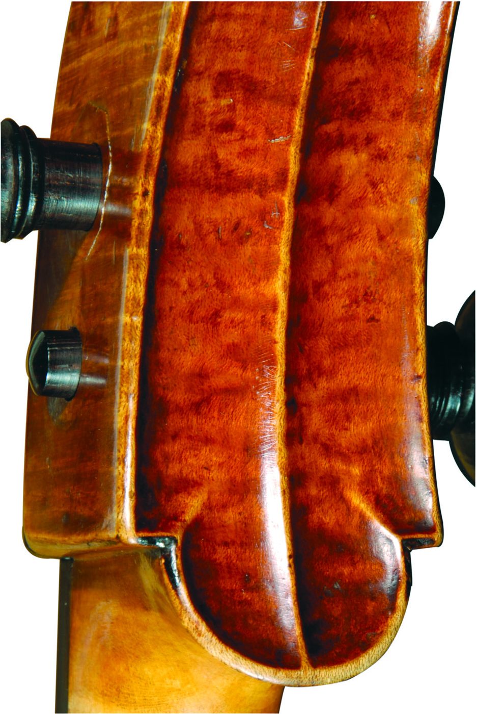Chin of the scroll of the ‘Archinto’ Stradivari cello showing tool marks