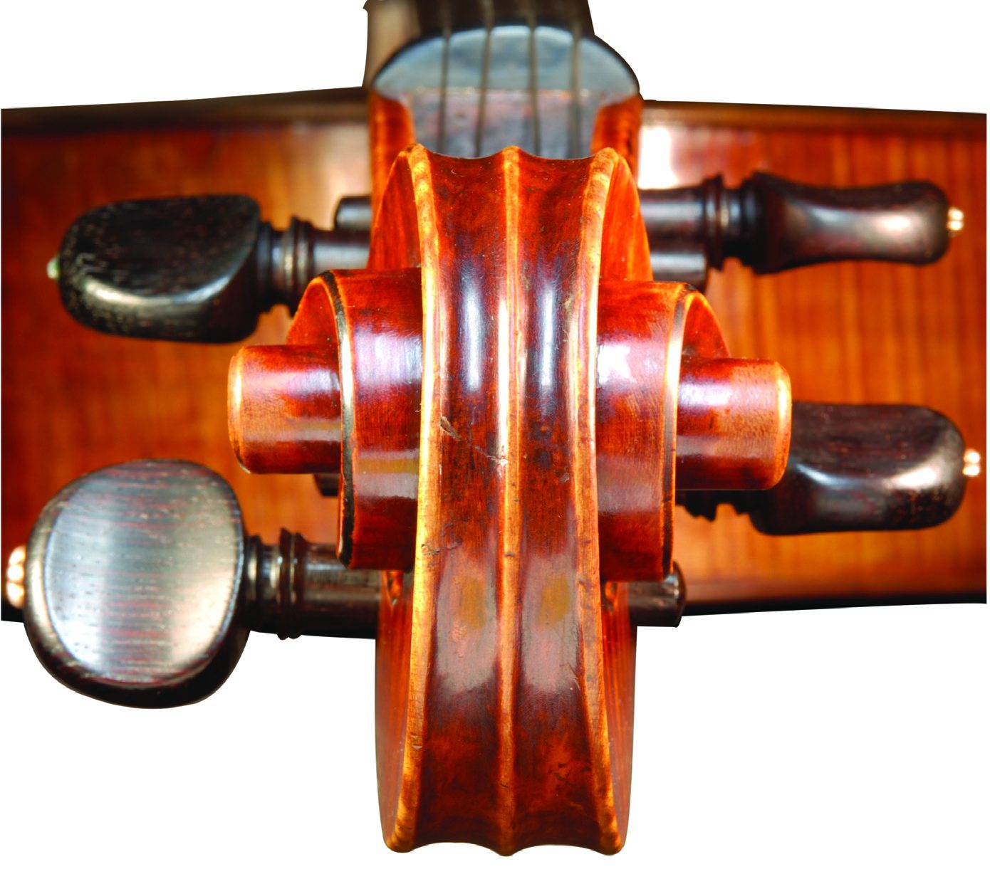 Top view of the scroll of the ‘Archinto’ Stradivari cello showing its asymmetry