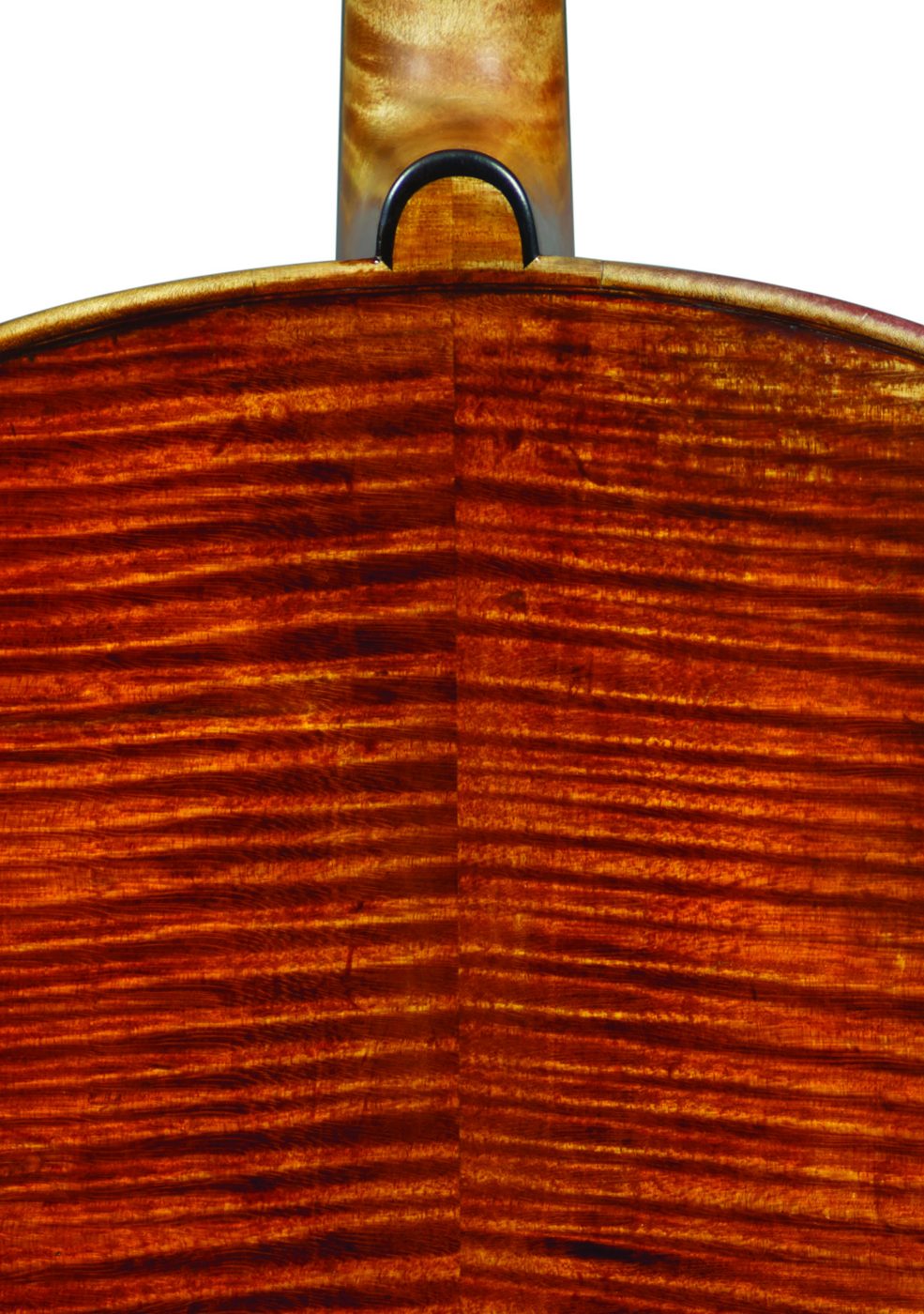 Upper back of the ‘Archinto’ Stradivari cello showing the flamed maple and button